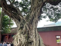 -闽粤南澳总镇府