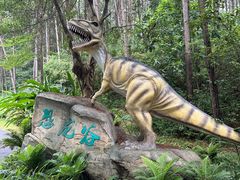 -佛冈森波拉度假区
