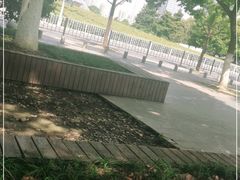 -合肥大剧院