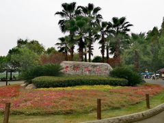 -武汉大学-樱园