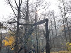 -阳台山自然风景区