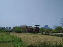 -会仙湿地