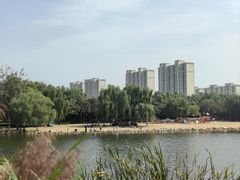 -大兴滨河森林公园