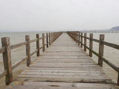 android_upload_pic-漩门湾国家湿地公园