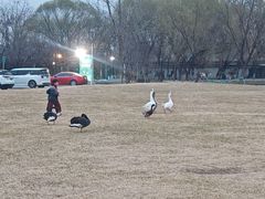 -蓝地时尚庄园(北京清河营地铁站店)