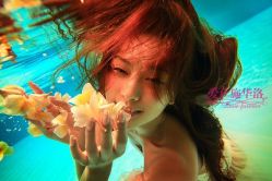 -施华洛婚纱摄影会所(范阳中路店)