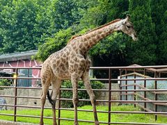 -大连森林动物园