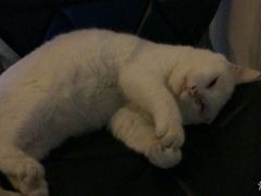 -Doors独立剧情密室(东门分店)