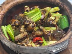 -天宝食坊·啫啫煲大排档(西华路店)