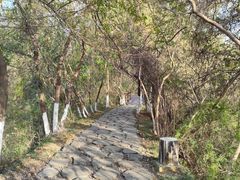 -盘龙城国家考古遗址公园