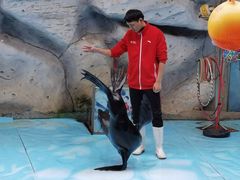 -泉州海丝野生动物世界