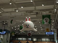 -line friends(明洞旗舰店)