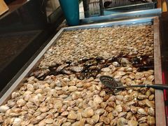 -钱小奴创意自助餐厅·山野黑猪肉畅吃(苏州昆山招商花园城店)