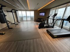 -新加坡瑞士史丹福酒店