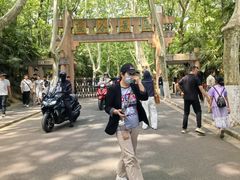 -灵谷景区