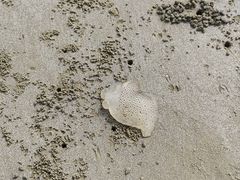 -侨港海滩
