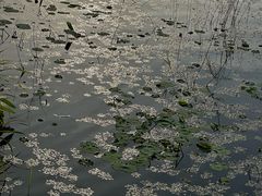 -澹台湖公园
