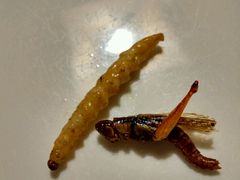-慢丽江·云南野生菌土鸡锅(付家庄店)