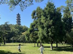 -江心屿景区