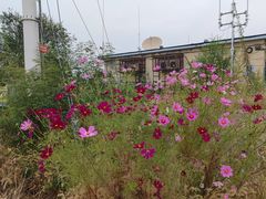 -府君山公园