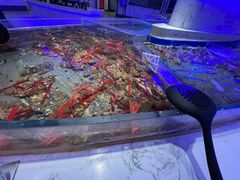 -澜悦港海鲜体验主题餐厅