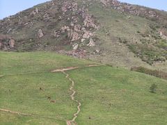 -灵山