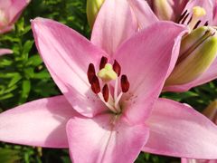 -长春公园(普阳街道)