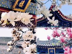 -西安市广仁寺