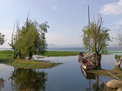 -洱海月湿地公园