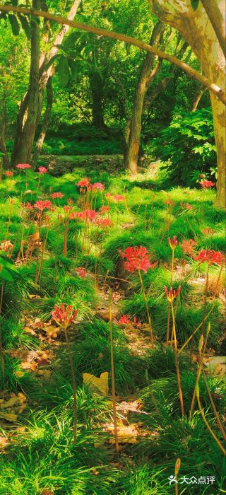 共青国家森林公园-售票处图片