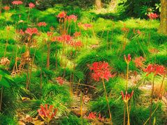 -共青国家森林公园-售票处