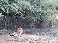 -沈阳森林动物园