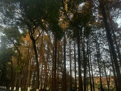 -采石矶景区