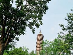 -西海子公园