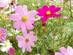 景点-盈香心动乐园