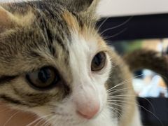 -四宜糕团店(南大街店)