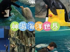 -威海华夏城景区