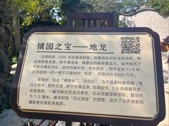 -朴园