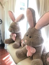 -美肤盾祛痘·问题肌头疗管理中心