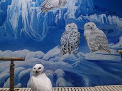 -成都浩海立方海洋公园