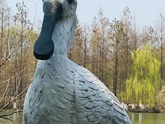 -苏州太湖国家湿地公园