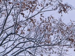 -武汉紫薇都市田园