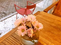 -威克特披萨汉堡