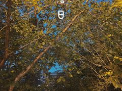 -西北石油酒店福粤中餐厅