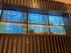 -珍宝海鲜JUMBO Seafood(尚嘉店)