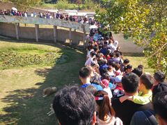 -西霞口神雕山野生动物世界