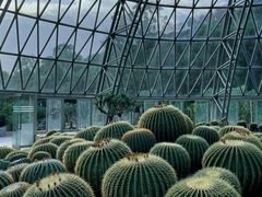 -深圳仙湖植物园