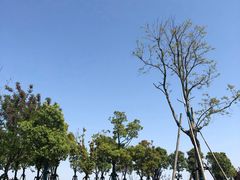 -春花秋色城市公园