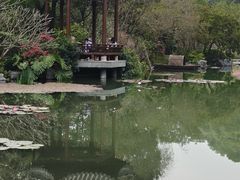 -云溪植物园