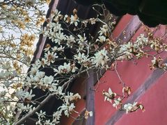 -钱王祠